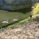 1-IMG_20210510_104005