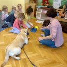 1-IMG_20210528_093310