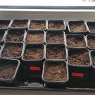 173681309_1137616960037050_5354081042681550090_n