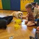 rybki_dogoterapia2_1