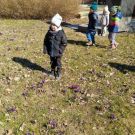 1-IMG_20220318_113211