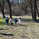 1-IMG_20220318_113334