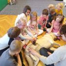 1-IMG_20220429_103303