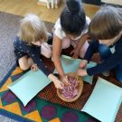 1-IMG_20220513_102715