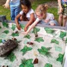 1-IMG_20220608_094353