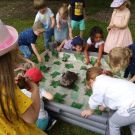 1-IMG_20220608_094234