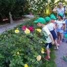 1-IMG_20220624_110342