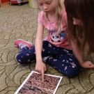 1-IMG_20221004_094346