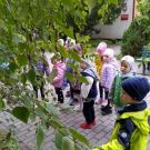 1-IMG_20221004_100808