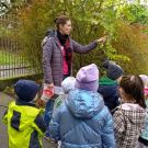 1-IMG_20221004_101630