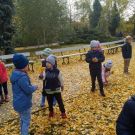 1-IMG_20221025_112239