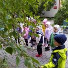 1-IMG_20221004_100808